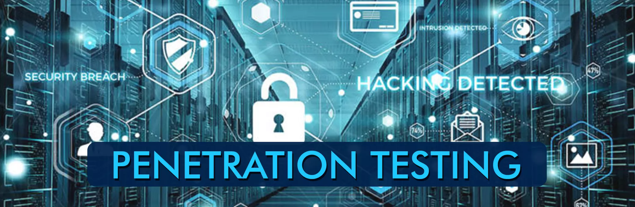 Penetration Testing